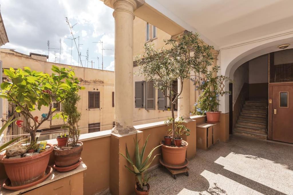 The New St. Peter's Little Stone Appartement